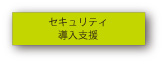 セキュリティ導入支援